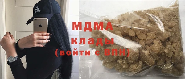 шишки Надым