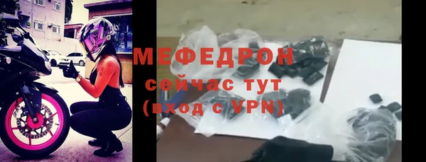 шишки Надым