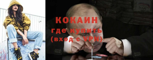 шишки Надым