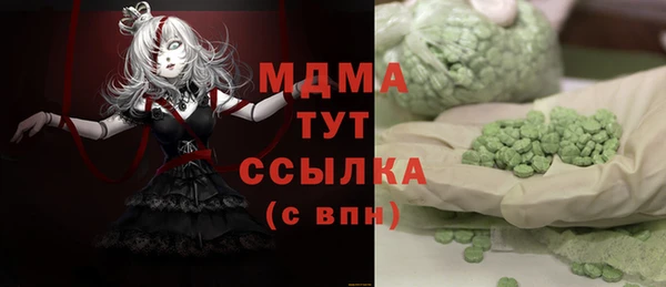 шишки Надым