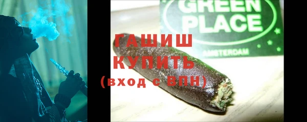 шишки Надым
