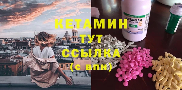 шишки Надым