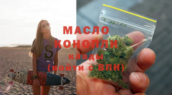 шишки Надым