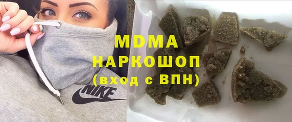шишки Надым