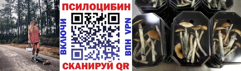 Псилоцибиновые грибы мицелий  как найти наркотики  kraken ONION  Кремёнки 